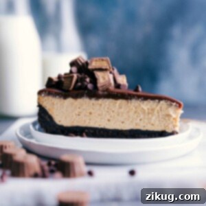 A slice of the delicious and flavor packed no-bake peanut butter cheesecake.