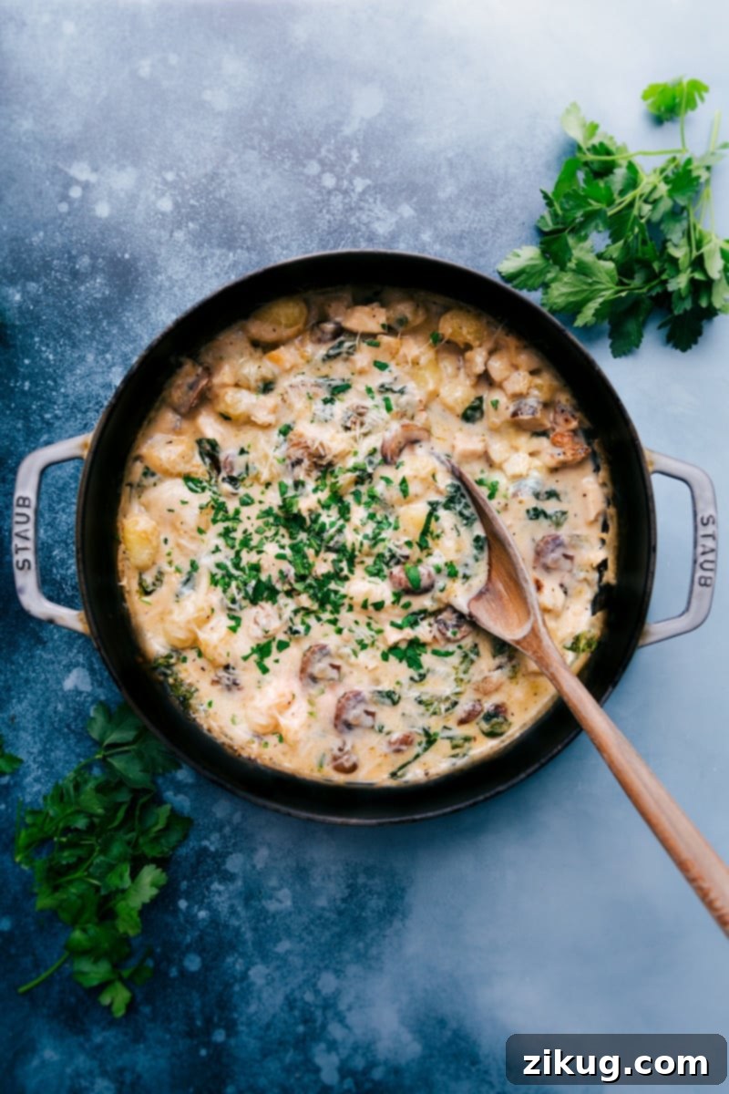 A close-up of creamy chicken gnocchi pasta with mushrooms and spinach, ready to serve from a single skillet. Creamy Chicken Gnocchi Pasta with mushrooms and spinach in a skillet