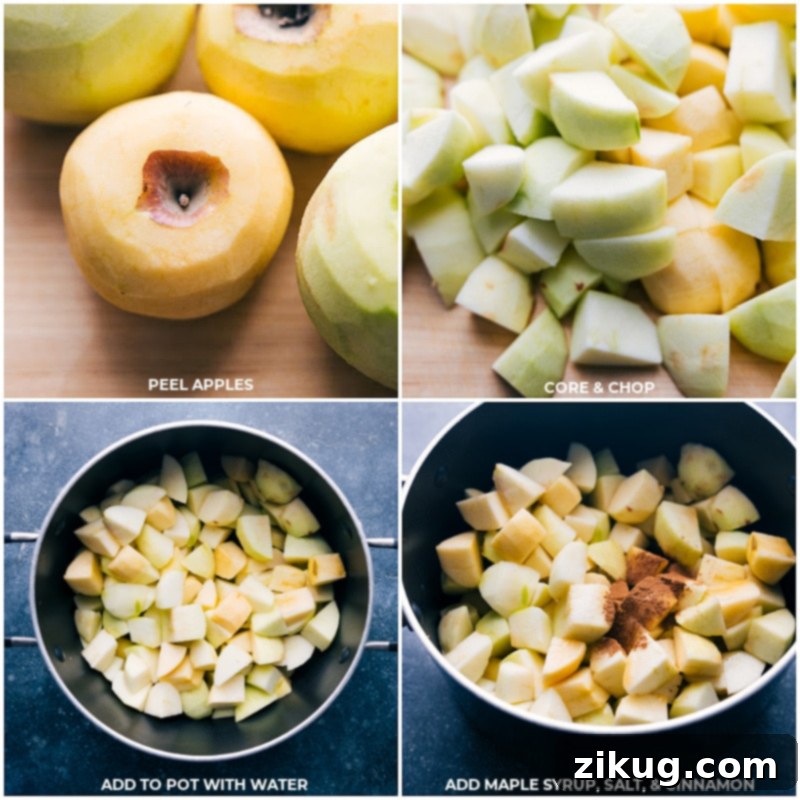 Apples being prepared for homemade applesauce Process shots showing apples being peeled, chopped, and cooked with spices