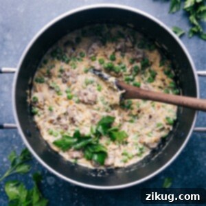 A delectable close-up of creamy Meatballs and Orzo, garnished with fresh herbs and a generous sprinkle of Parmesan cheese.