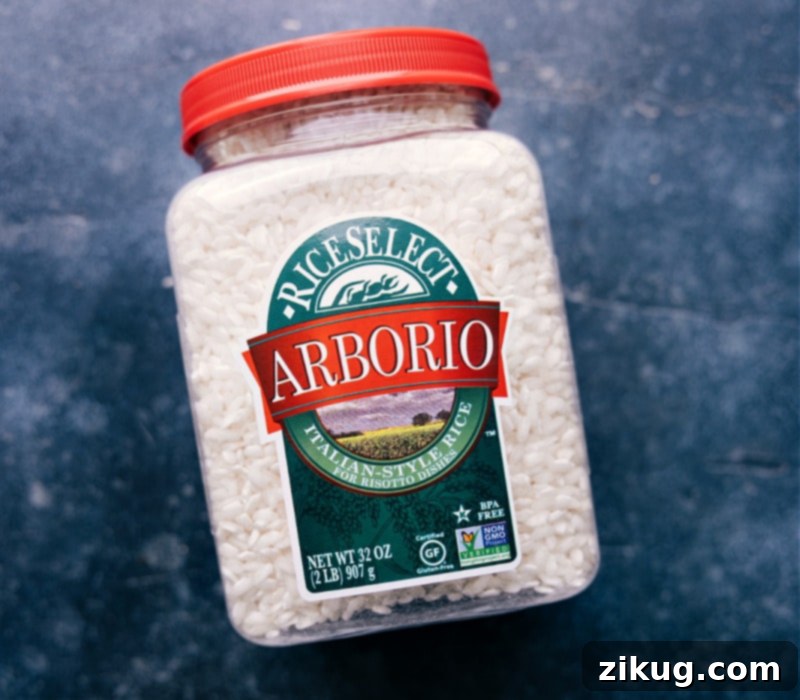 Close-up overhead image of Arborio rice, showcasing its short, plump grains, essential for creamy risotto.