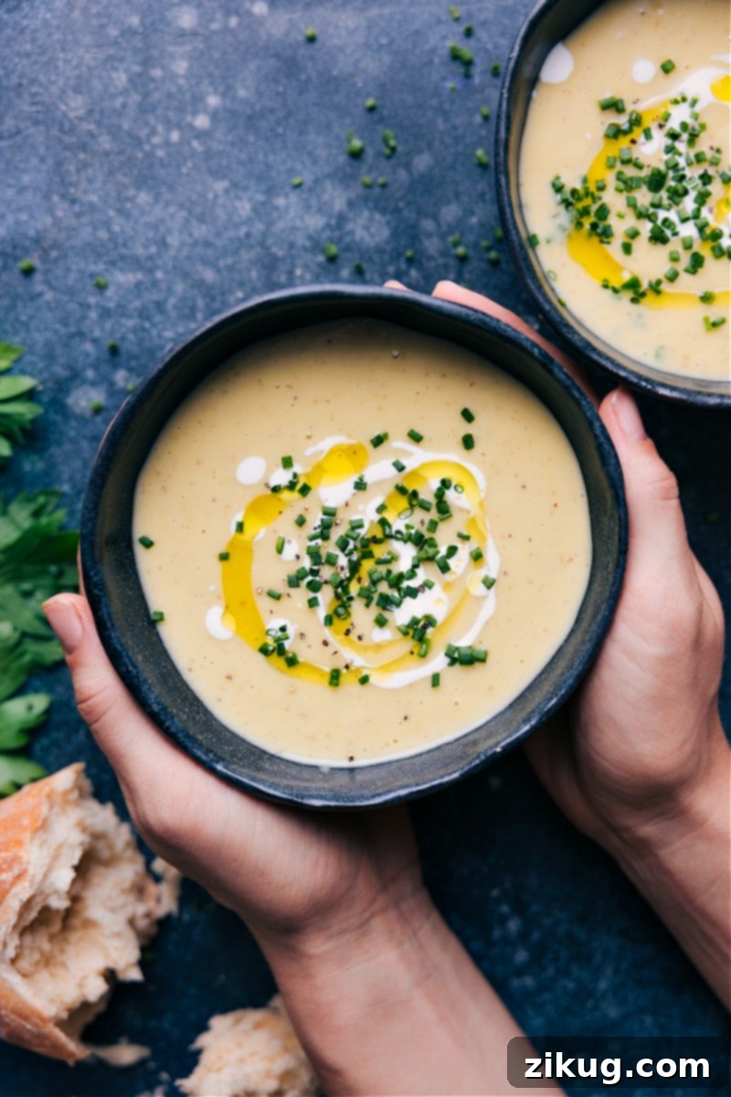 Hearty Potato Leek Soup: A delicious and comforting recipe blending buttery golden potatoes with fresh leeks. Perfect for any meal! Overhead image of a bowl of Potato Leek Soup garnished with fresh herbs, ready to be enjoyed.