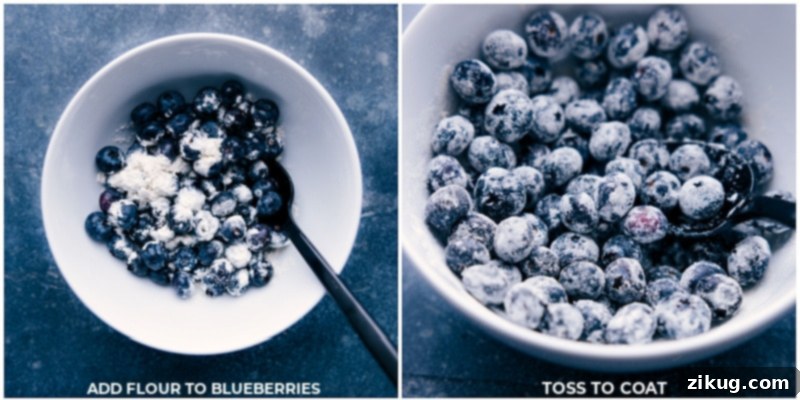 Coating Blueberries with Flour - Perfect Texture Adding flour to a bowl of blueberries and mixing until well coated.