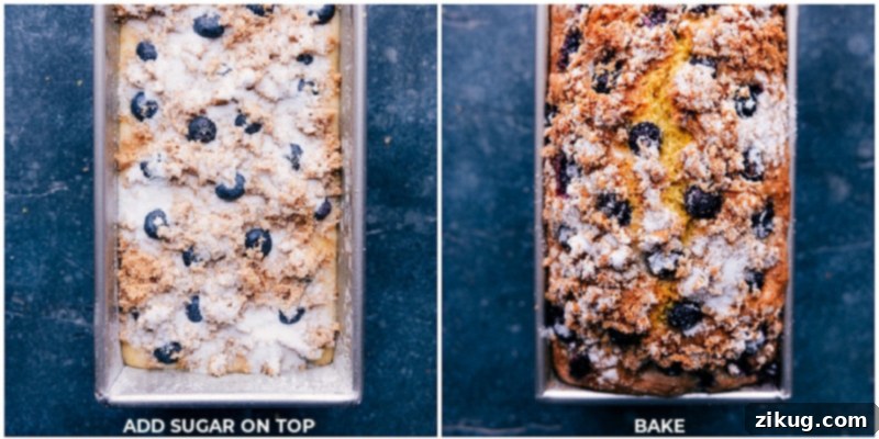 Baking Blueberry Lemon Bread - Irresistible Golden Brown Adding sugar on top of the batter and baking until golden brown, creating the perfect loaf of blueberry lemon bread.
