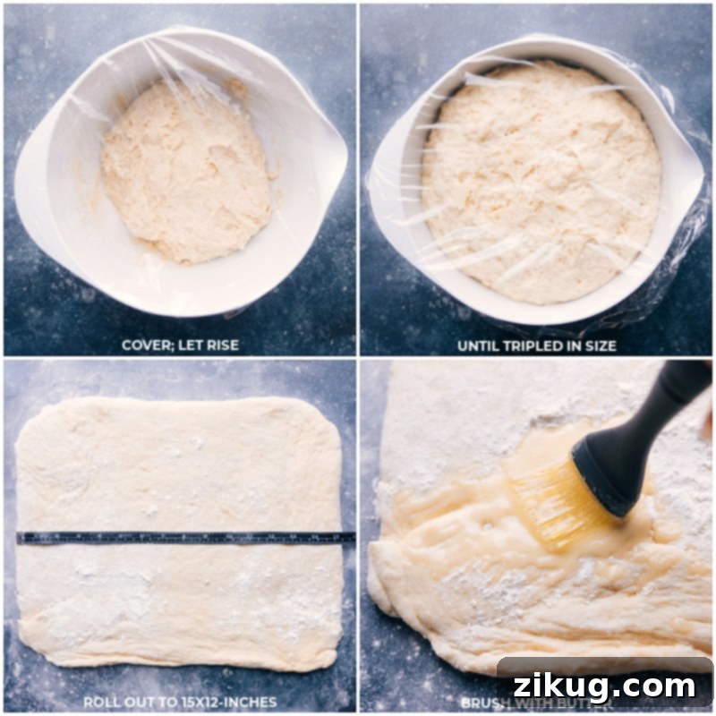 Cover dough and let rise until tripled in size; roll into a rectangle shape; brush with butter for this no knead easy cinnamon roll recipe.