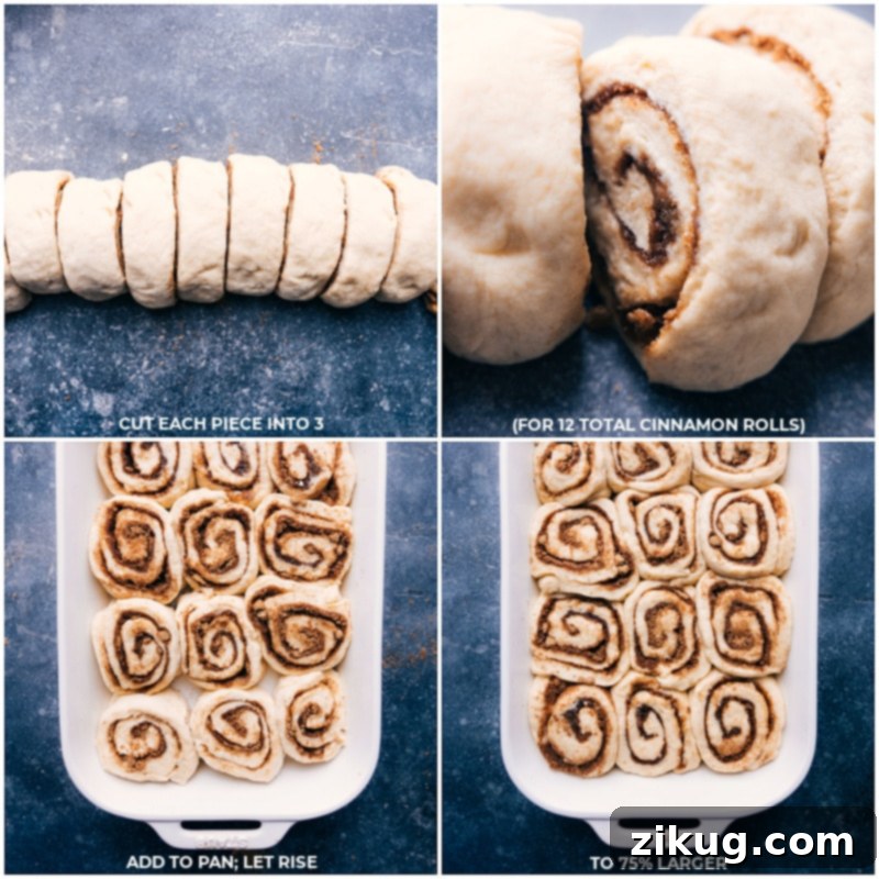 Process shots: cut dough into individual rolls; add to the pan; let rise again for fluffy cinnamon rolls.