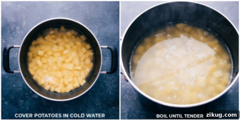 Process shots: Diced potatoes are covered in cold water in a large pot and brought to a boil until tender.