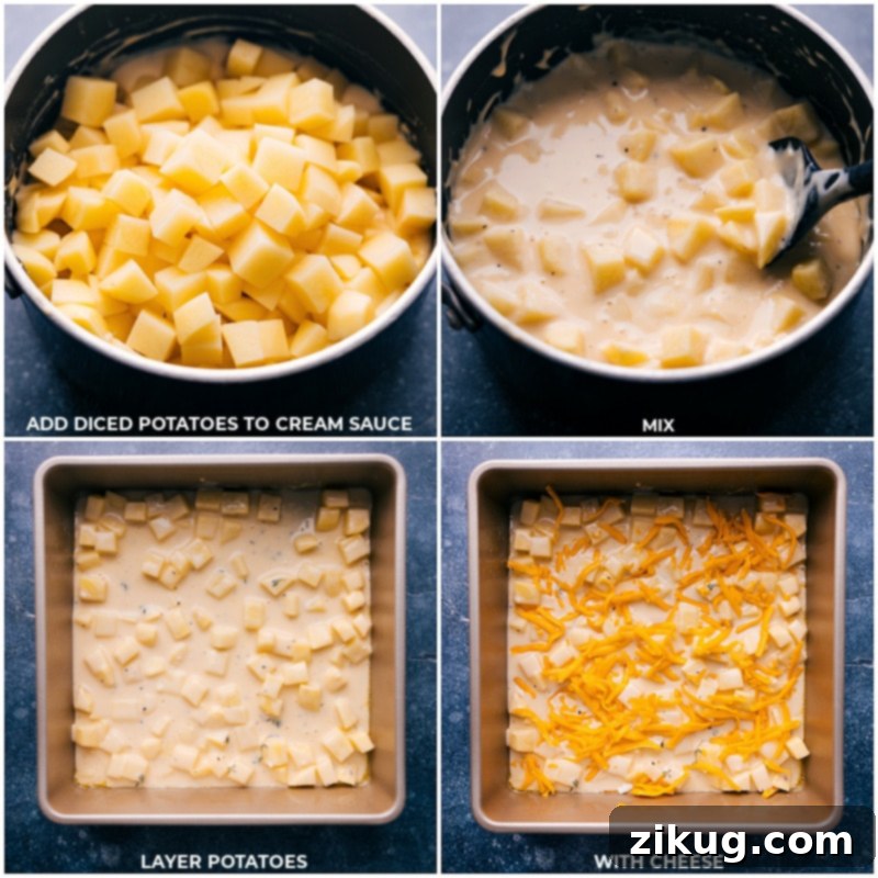 Add cheesy potatoes to the cream sauce, pour everything into the pan, and top with cheese before baking.