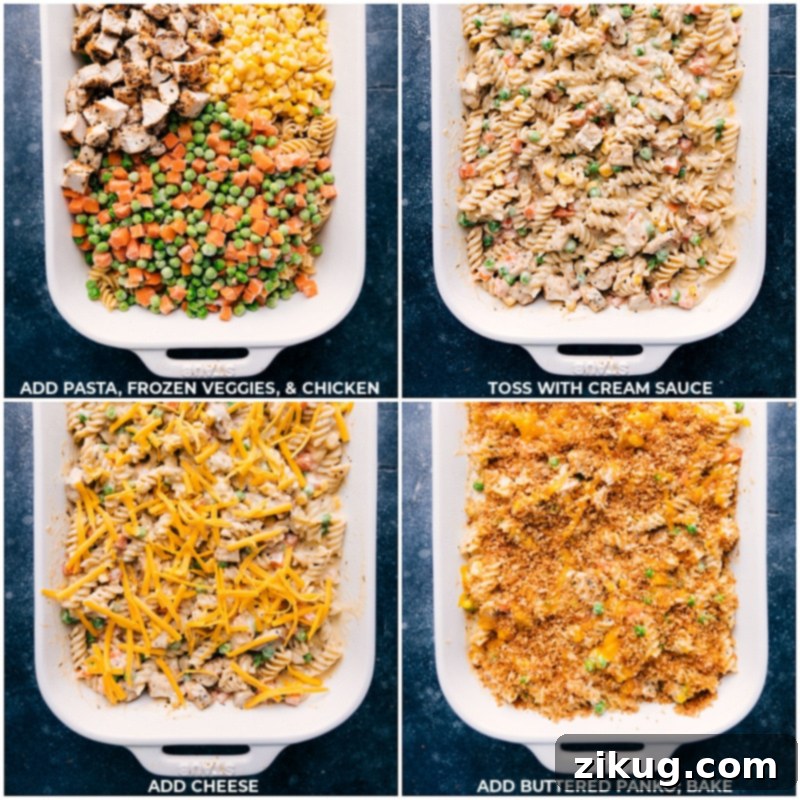 The harmonious assembly of Chicken Noodle Casserole ingredients: layering al dente pasta, colorful veggies, tender chicken, rich cream sauce, sharp cheddar cheese, and a golden panko topping. Each step builds towards a truly comforting family meal. Process shots of Chicken Noodle Casserole assembly, showing cooked pasta, vegetables, diced chicken, creamy sauce, shredded cheese, and buttered panko topping being layered into a baking dish.