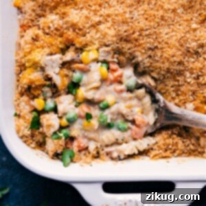 Ultimate Chicken Noodle Casserole 2 A vibrant, golden-brown Chicken Noodle Casserole, freshly baked with a bubbling, creamy interior and a crispy topping.