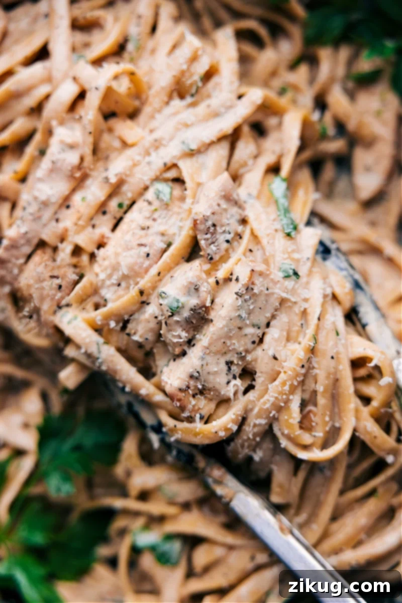 Rich And Indulgent Chicken Alfredo Recipe - Quick & Easy Homemade Perfection A serving of homemade Chicken Alfredo with tongs lifting some pasta and chicken, showcasing its rich, creamy texture and tender chicken pieces.
