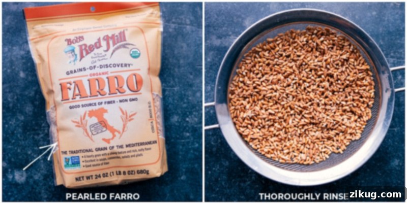 Pearled farro being thoroughly rinsed in a colander under running water.