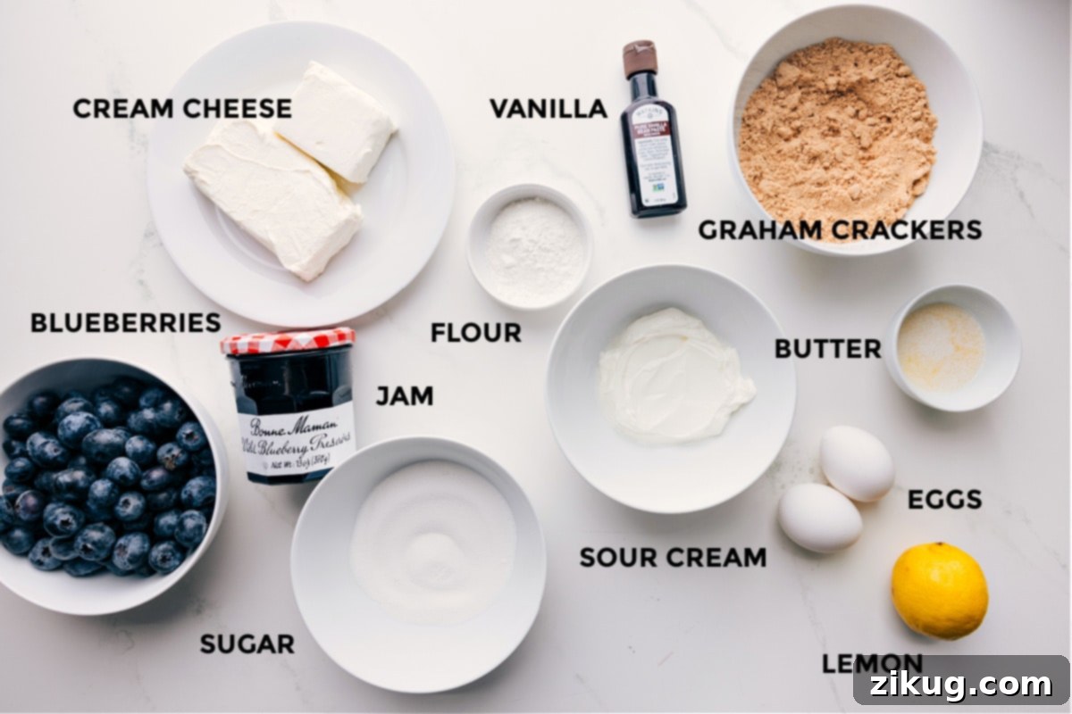 Ingredients In Mini Blueberry Cheesecakes All the essential ingredients for making delicious mini blueberry cheesecakes, neatly prepped and laid out on a clean surface for easy assembly: blocks of cream cheese, fresh blueberries, a jar of blueberry jam, granulated sugar, all-purpose flour, sour cream, eggs, a fresh lemon, melted butter, graham cracker crumbs, and vanilla extract.