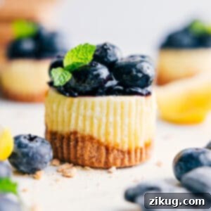 Close-up of freshly baked Mini Blueberry Cheesecakes, beautifully arranged and ready to be served, showcasing their vibrant blueberry topping and golden crusts.