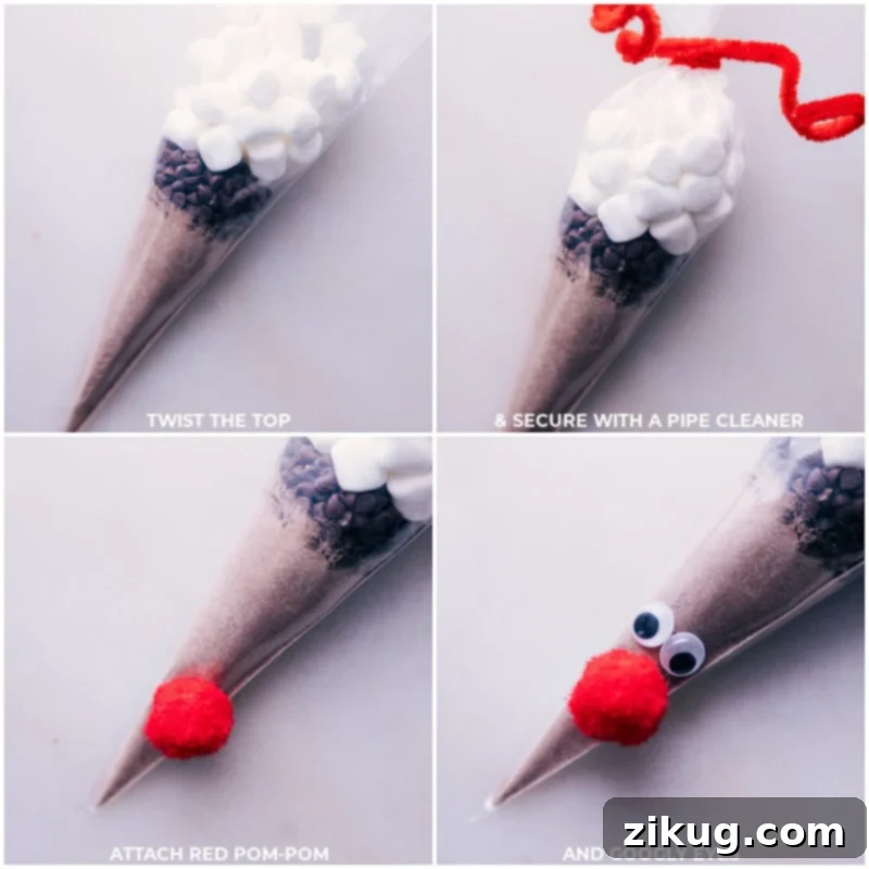 Process shots-- images of the pipe cleaner being added and the red pom pom and google eyes