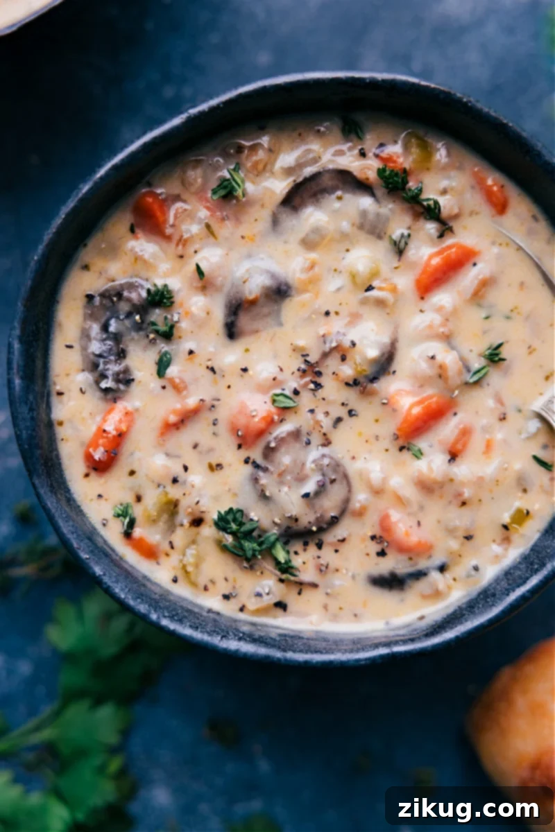 Overhead image of a steaming bowl of Creamy Mushroom Carrot Farro Soup, garnished with fresh parsley.