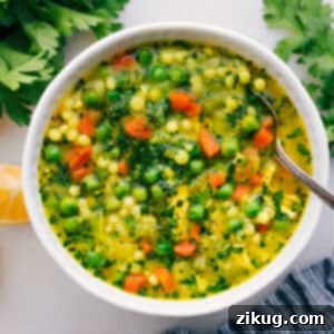 A beautifully presented bowl of Chicken Couscous Soup, garnished with fresh parsley.