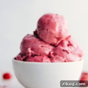 Frozen Yogurt, ready in just 15 minutes, in a bowl ready to be enjoyed.