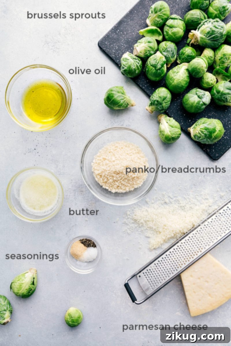 Ingredients Layout for Roasted Brussels Sprouts Preparation Ingredients assembled for making roasted Brussels sprouts.