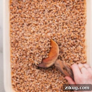 Beautifully cooked farro, fluffy and ready to serve, a perfect side dish or base for meals.