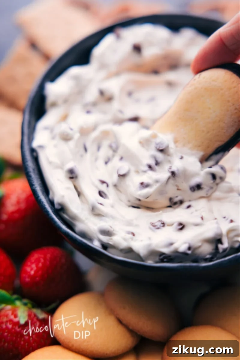 Creamy Chocolate Chip Dip with a Milano cookie perfectly dipped into the decadent mixture, showcasing its smooth texture and scattered chocolate chips.
