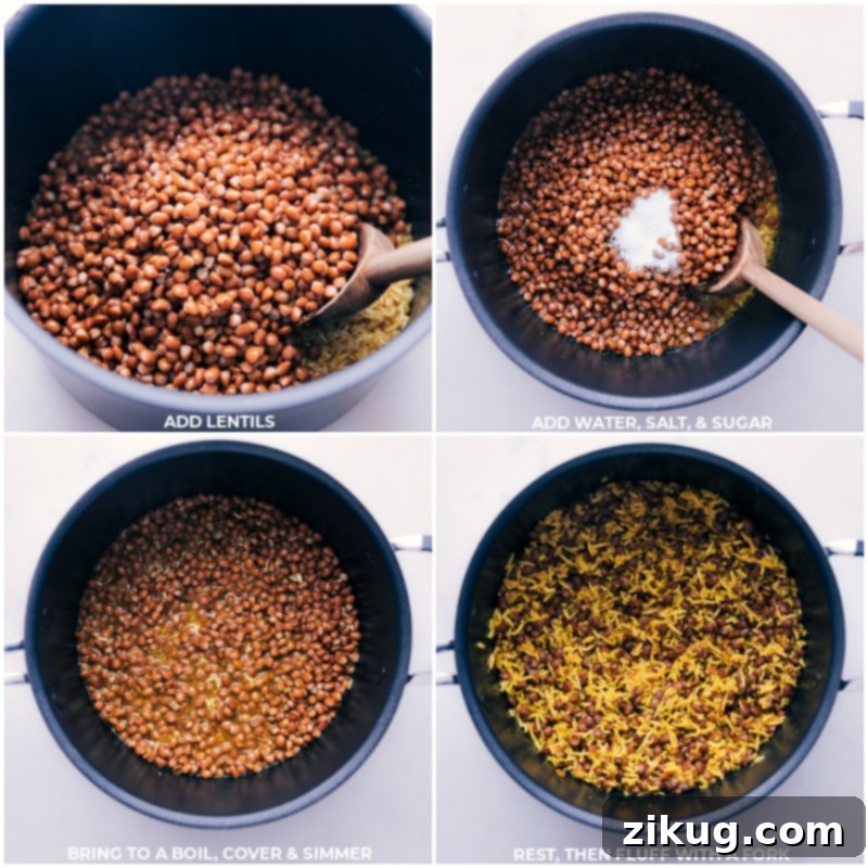 Process shots of Mujadara—images of the lentils, water, salt, and sugar being added to the pot for cooking