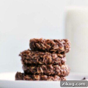 A delicious Healthy No-Bake Cookie