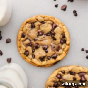 My Own Chocolate Chip Cookie 4 Single Serve Chocolate Chip Cookie baked and ready to be enjoyed.