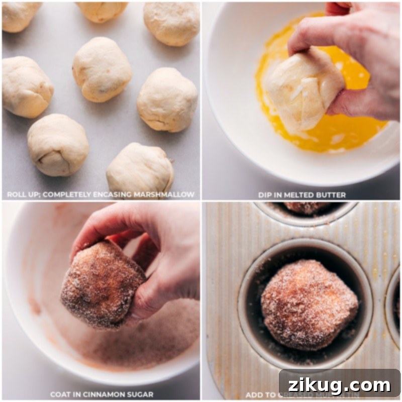Assembling Empty Tomb Rolls in a Muffin Tin for Baking Dough balls for Empty Tomb Rolls, freshly coated in cinnamon sugar, being carefully placed into a greased muffin tin, preparing them for baking and their symbolic transformation.