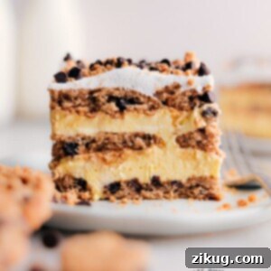 Dreamy Chocolate Chip No-Bake Delight 2 A close-up shot of Chocolate Chip Cookie Icebox Cake, showing its delightful layers and creamy texture.