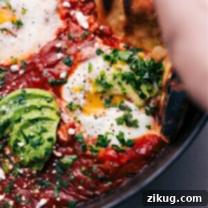 A close-up of finished Shakshuka with perfect poached eggs and fresh parsley.