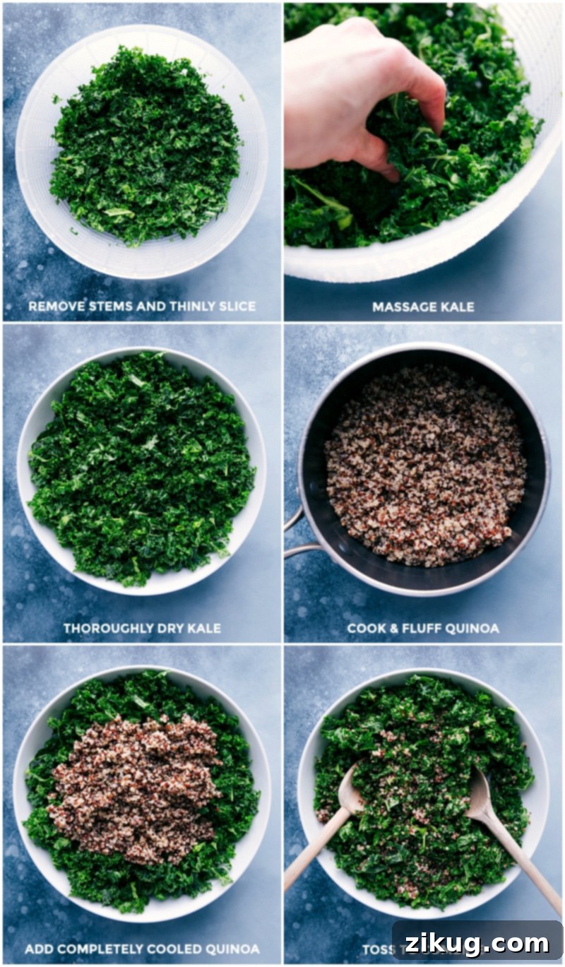 We're tossing together kale, quinoa, fresh fruit, feta cheese, crushed pistachios, and dried blueberries. Toss everything with a balsamic dressing and be prepared to fall in love with this salad! Recipe via ChelseasMessyApron.com #quinoa #kale #salad #wholegrains #kalesalad #quinoasalad #vegetarian #healthy Process shots: slice kale; massage it; dry it; cook and fluff quinoa; add cooled quinoa to the kale; toss to combine.