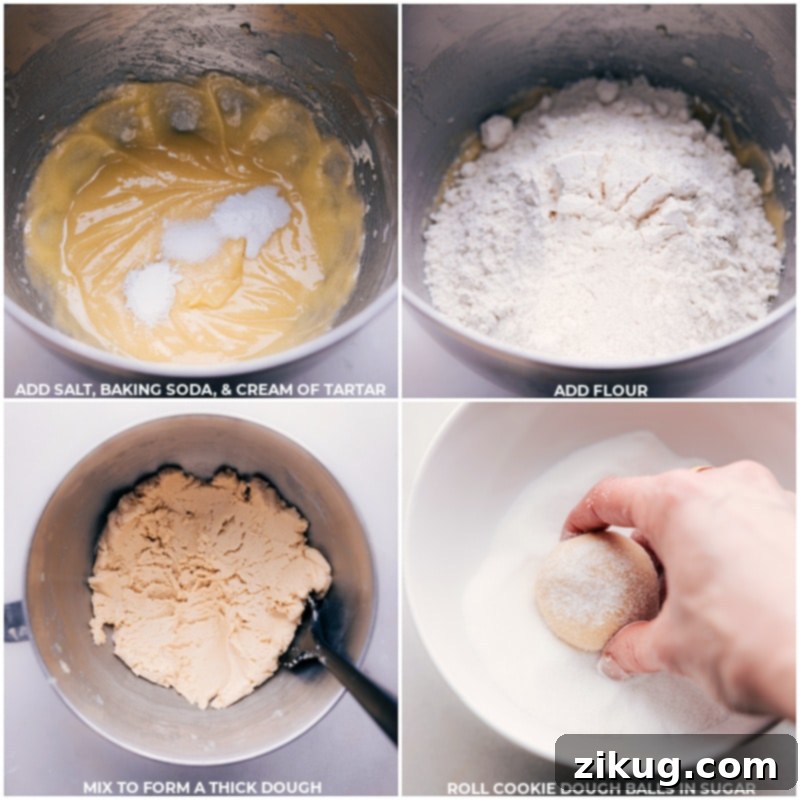 Measuring Dry Ingredients for Swig Sugar Cookie Dough Process shots demonstrating the dry ingredients for Swig Sugar Cookies: salt, baking soda, cream of tartar, and all-purpose flour, neatly measured and ready to be incorporated into the dough mixture.
