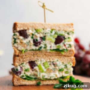 Healthy Chicken Salad Recipe