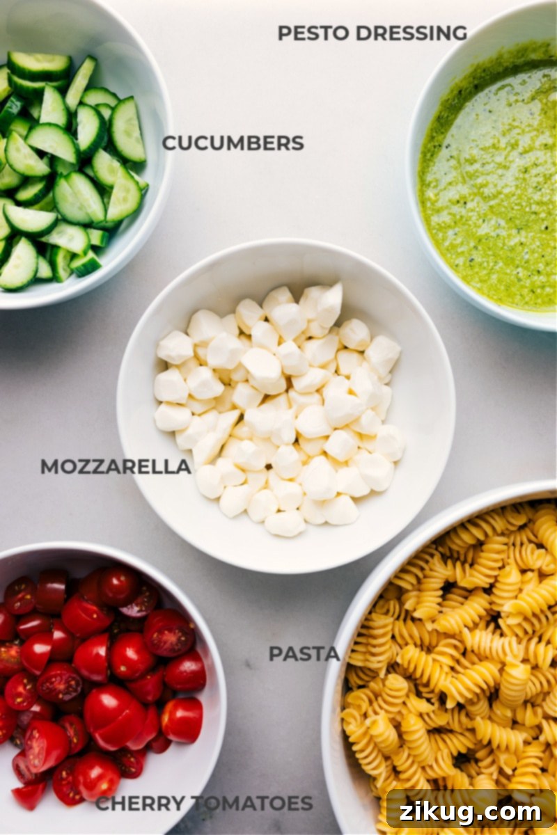 This irresistible Pesto Pasta Salad combines rotini pasta, juicy cherry tomatoes, crisp cucumbers, and creamy mozzarella pearls, all tossed in a luscious, herbaceous basil pesto dressing. This salad is easy to make and sure to be a hit wherever it's served! Recipe via chelseasmessyapron #dinner #quick #easy #simple #familyfriendly #kidfriendly #sidedish #noodles #bbq #pesto #pastasalad A collection of fresh ingredients for Pesto Pasta Salad laid out on a rustic wooden table, highlighting their vibrant colors.