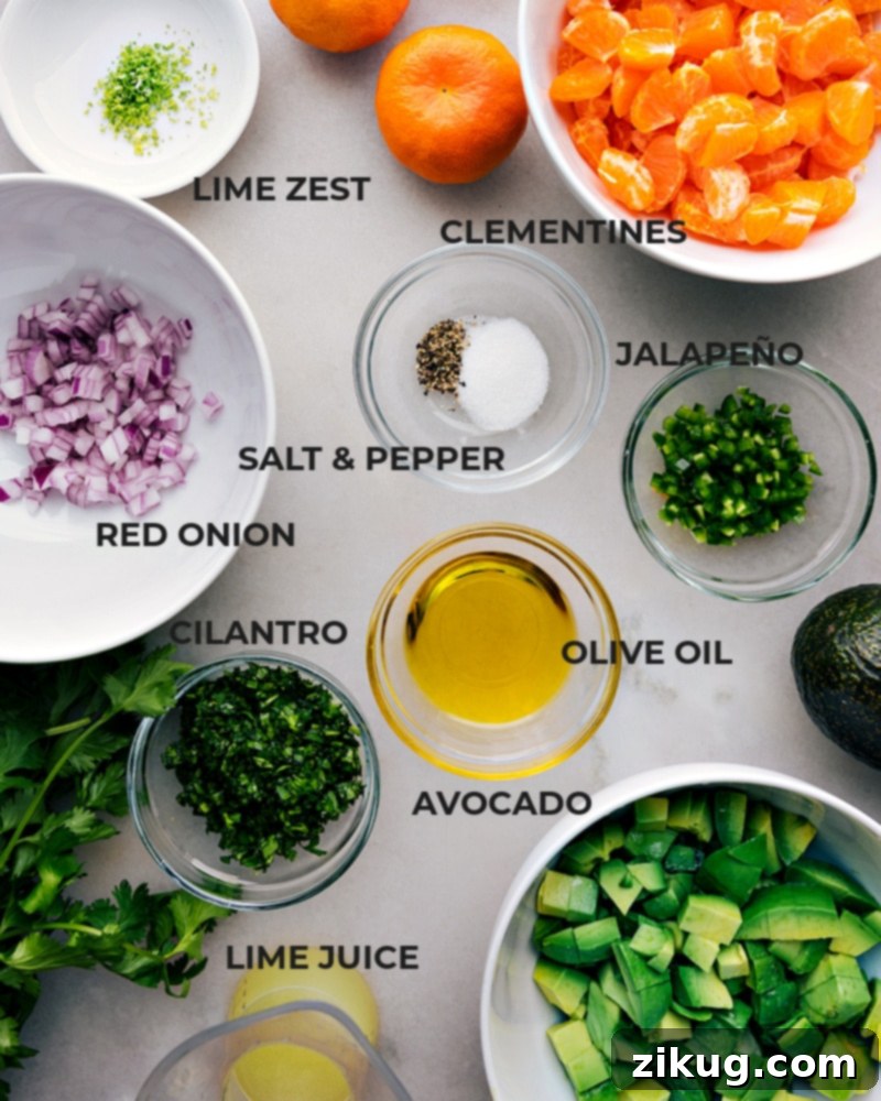 A collection of fresh, colorful ingredients for Avocado-Orange Salsa, including bright mandarins, ripe avocados, red onion, jalapeño, and cilantro, laid out on a kitchen counter.