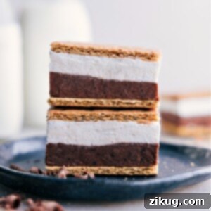Frozen S'mores Bars with layers of chocolate pudding, marshmallow, and graham crackers.