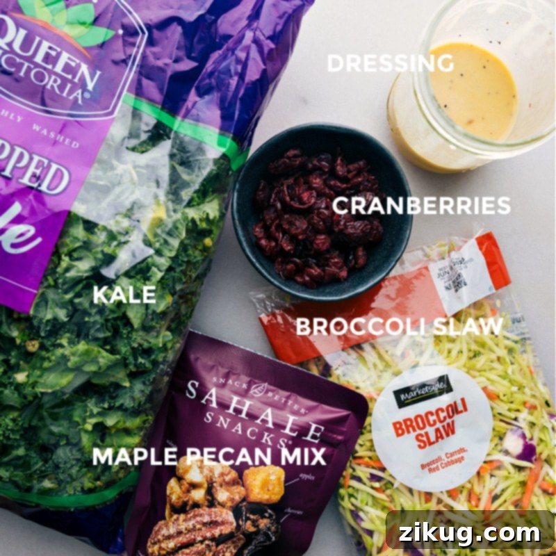 Essential ingredients for a delicious Kale Cranberry Pecan Salad Collection of fresh ingredients for Kale Cranberry Pecan Salad, including kale, broccoli slaw, cranberries, and pecans