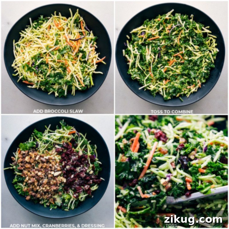 Mixing all the delightful components of the Kale Cranberry Pecan Salad Process images of broccoli slaw, maple pecan mix, cranberries, and dressing being tossed with kale