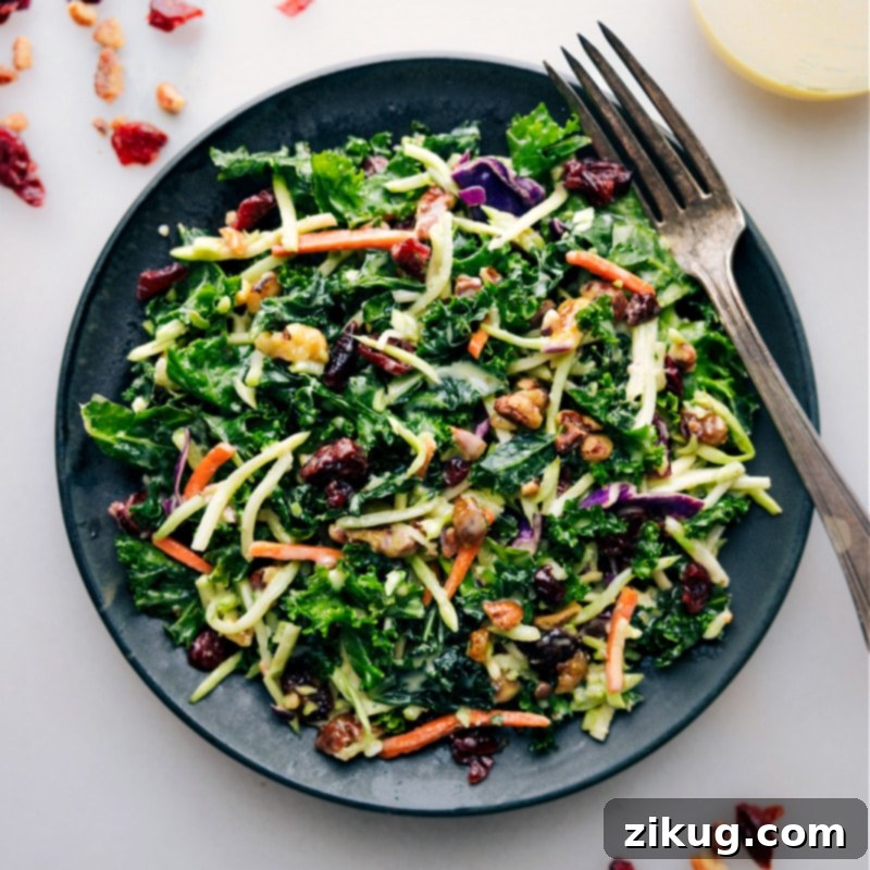 A close-up view of the appetizing Kale Cranberry Pecan Salad Close-up overhead image of the finished Kale Cranberry Pecan Salad in a bowl