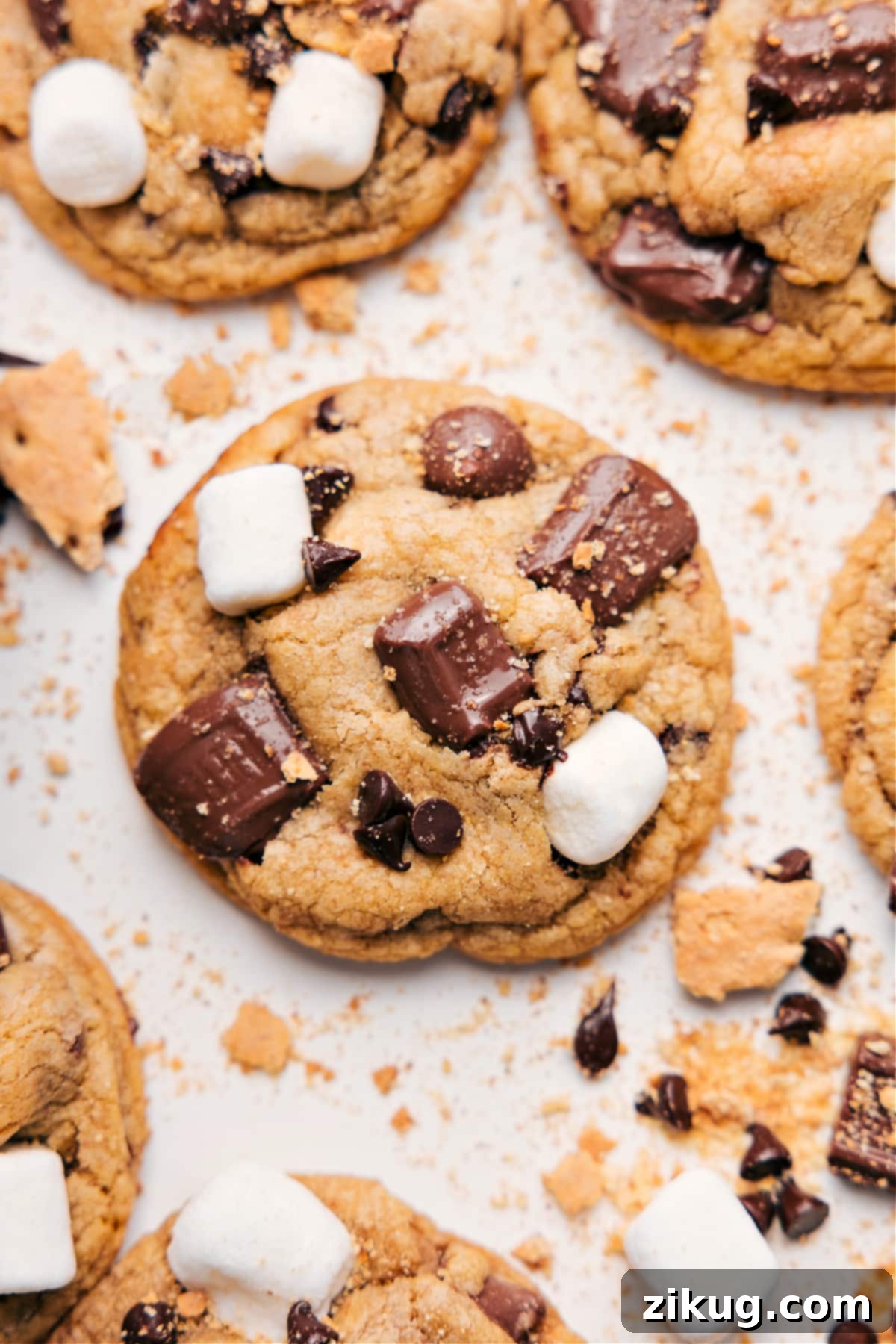 Gooey Smores Cookie Delights 2 Deliciously gooey s'mores cookies with melted chocolate and toasted marshmallows.