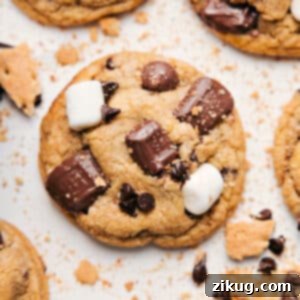 S'mores Cookies with melted chocolate and marshmallows on top