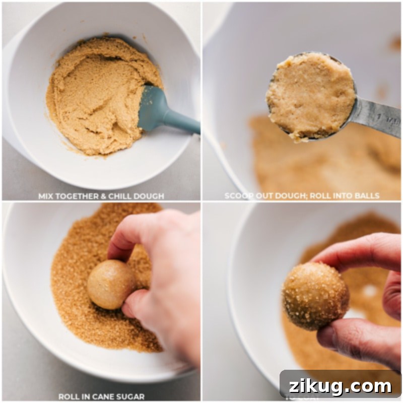Chilling and rolling the dough are essential steps for perfectly shaped healthy sugar cookies. Process shots of healthy sugar cookies showing the dough being chilled and then rolled into perfect, even balls, ready for baking.