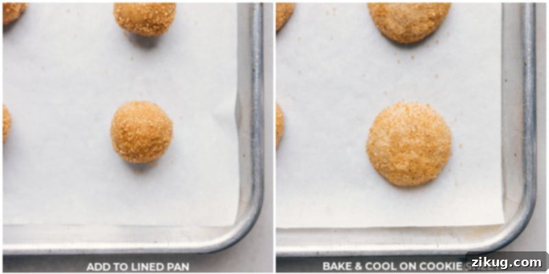 Perfectly baked healthy sugar cookies fresh from the oven, golden and fragrant. Process shots showing healthy sugar cookies baking in an oven on a parchment-lined sheet pan, turning golden brown at the edges.