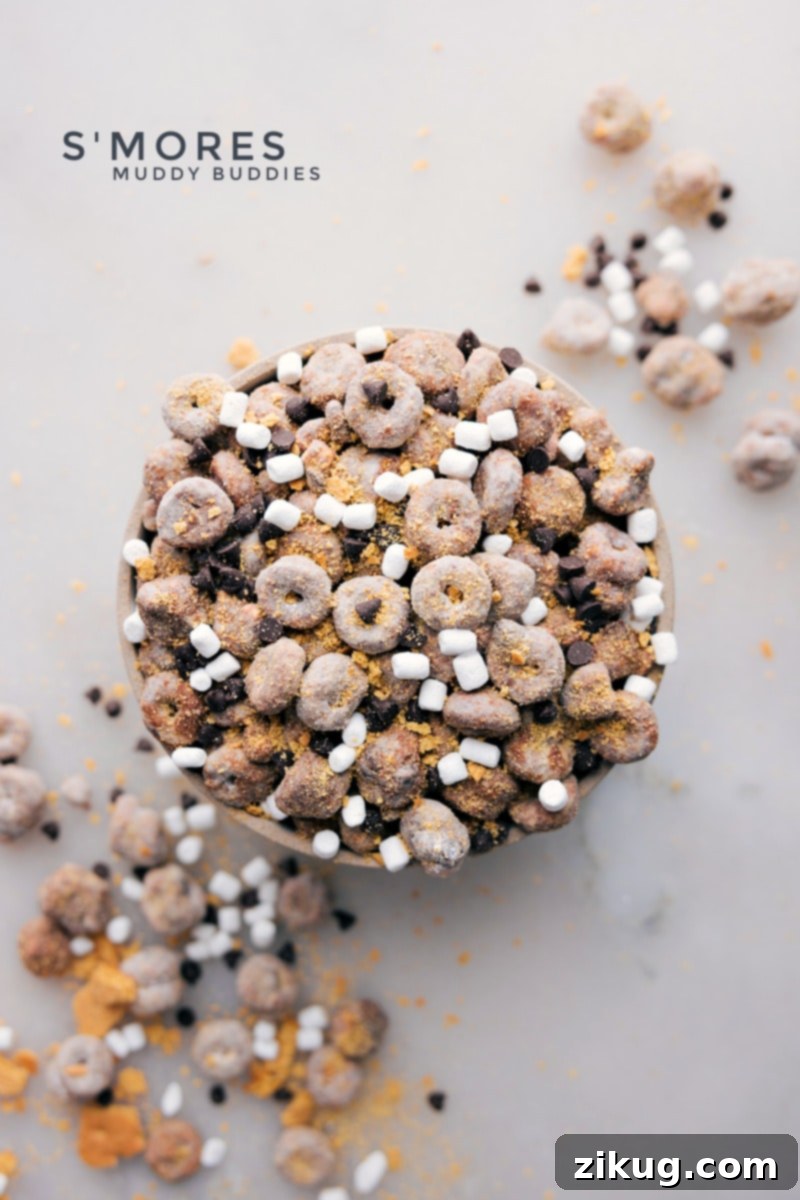 A bowl filled with delicious S'mores Muddy Buddies, ready to be served and enjoyed by everyone.
