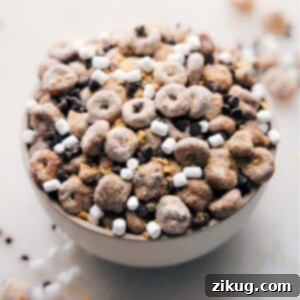 S'mores Muddy Buddies prepared and ready to be served.