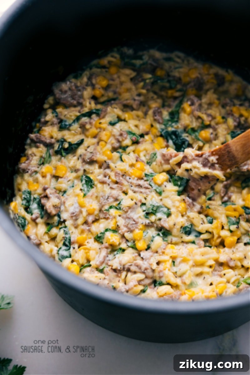 Creamy One-Pot Sausage, Corn, & Spinach Orzo: A hearty, flavorful, and comforting dish with savory Italian sausage, sweet corn, fresh spinach, and Parmesan in a creamy, risotto-like sauce. A vibrant overhead shot of creamy Sausage, Corn, and Spinach Orzo served in a bowl, garnished with fresh herbs, showcasing its rich texture and colorful ingredients.