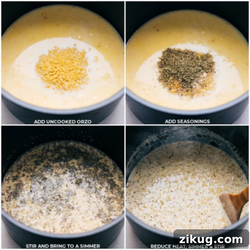 Adding uncooked orzo pasta and seasonings to the creamy base is the next step for our Sausage, Corn, & Spinach Orzo, ensuring a flavorful and comforting meal. Process shot of dry orzo pasta and aromatic Italian seasonings being added to the pot with the sautéed onions, garlic, and cream sauce base, ready to simmer and absorb the rich flavors.