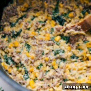 Sausage, Corn, and Spinach Orzo recipe image