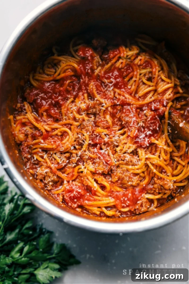 Instant Pot Spaghetti: A quick one-pot meal with Italian sausage and marinara, perfect for family dinners. Overhead view of Instant Pot Spaghetti in a serving bowl, garnished with fresh parsley and Parmesan cheese, showcasing its rich texture and inviting appeal.